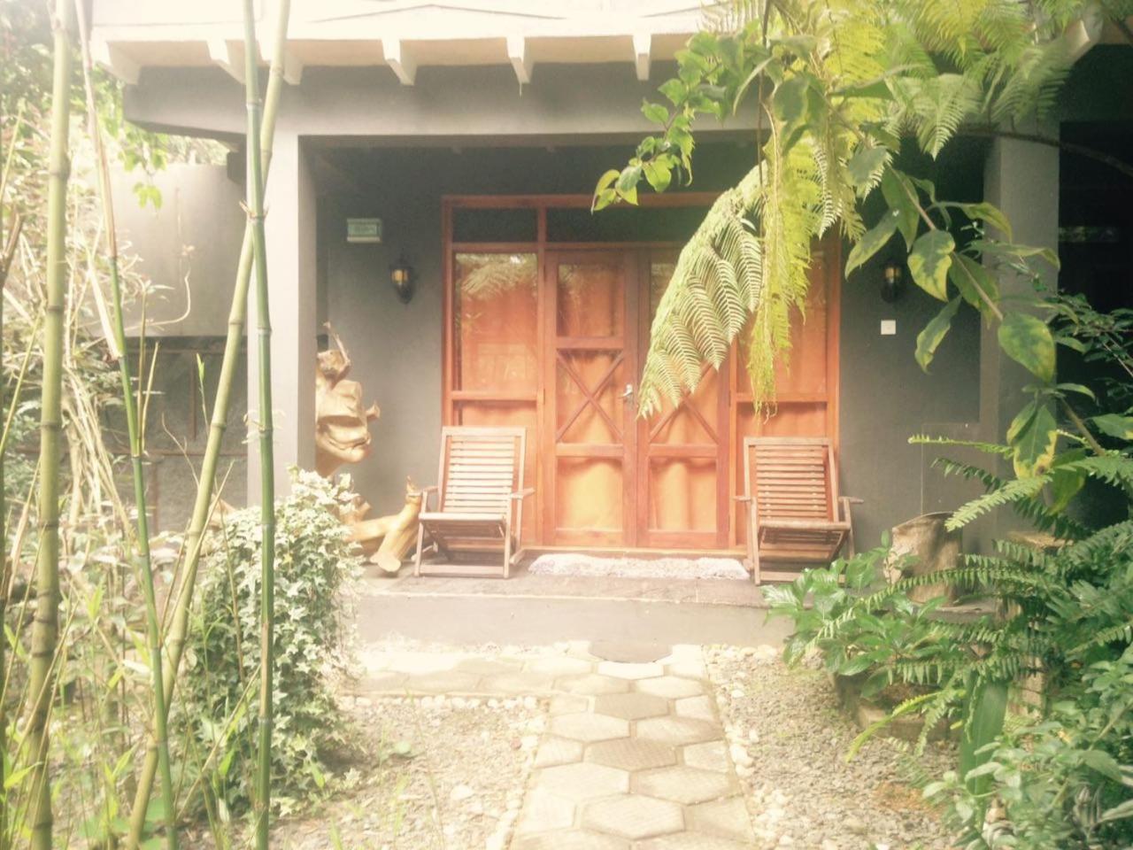King Fern Cottage Nuwara Eliya Exteriér fotografie