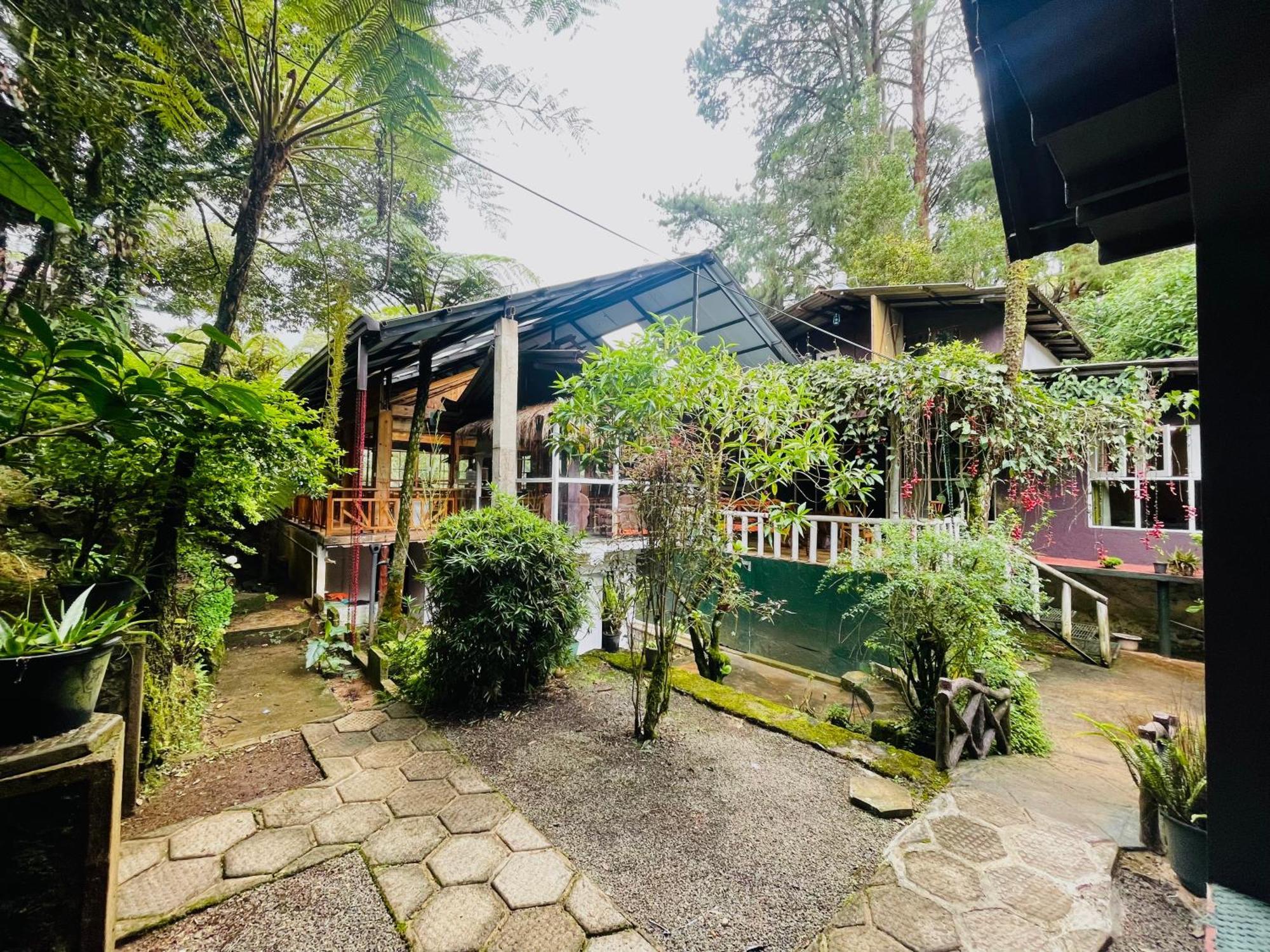 King Fern Cottage Nuwara Eliya Exteriér fotografie