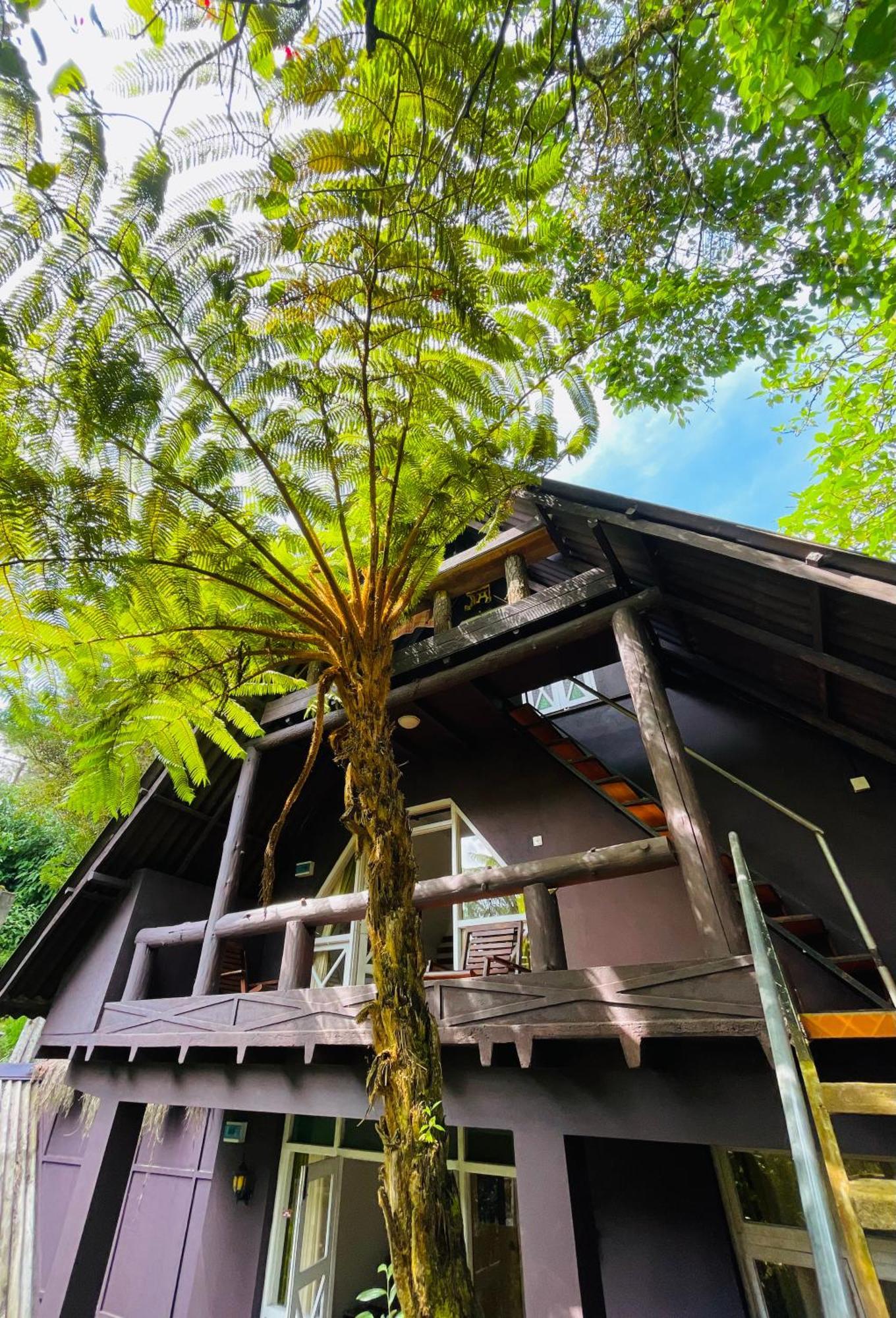 King Fern Cottage Nuwara Eliya Exteriér fotografie