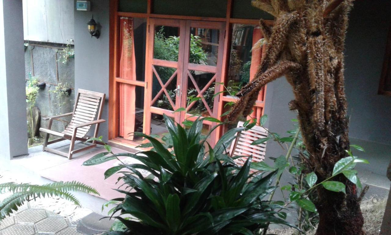 King Fern Cottage Nuwara Eliya Exteriér fotografie