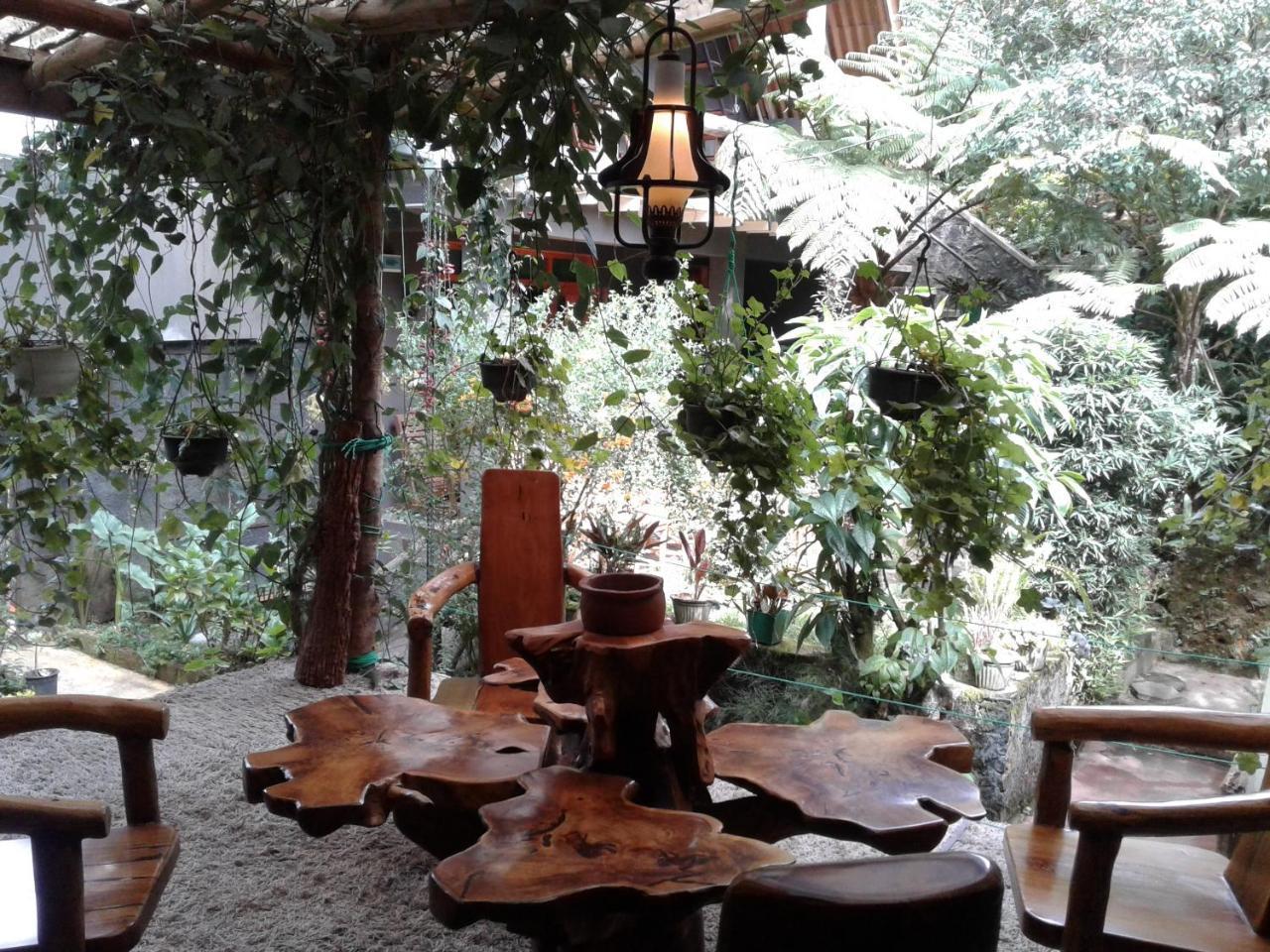 King Fern Cottage Nuwara Eliya Exteriér fotografie