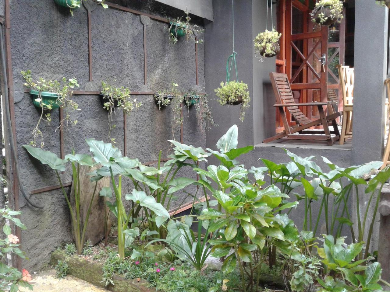 King Fern Cottage Nuwara Eliya Exteriér fotografie